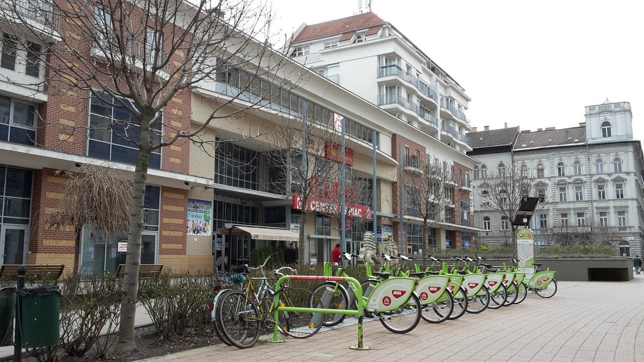 Aden Free Parking Apartament